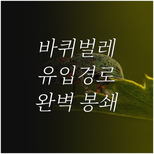 바퀴벌레와의 전쟁: 집 안 유입 경로 봉쇄 작전