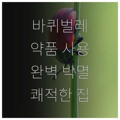 쾌적한 집 만들기: 바퀴벌레 박멸을 위한 효과적인 약품 사용 설명서