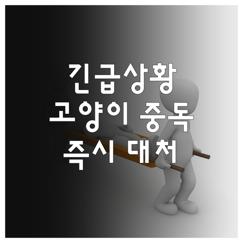 고양이 응급! 바퀴벌레 겔 중독 증상과 즉시 대처하는 방법