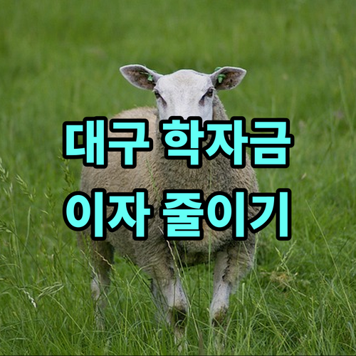 대구 학자금 대출 지원 2025: 신청하고 이자 부담 줄이는 방법