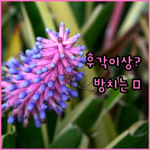 후각이상? 방치하면 위험! 증상, 진단, 치료법 총정리
