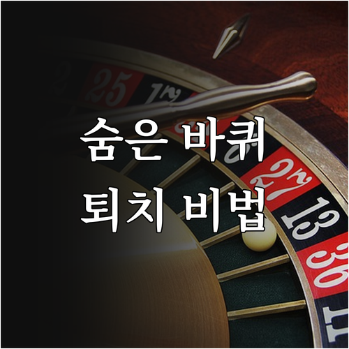 보이지 않는 바퀴벌레, 전문가만이 답이다! 확실한 퇴치 및 예방 전략