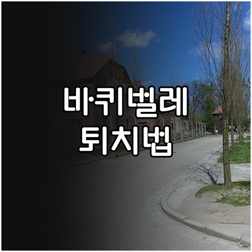 바퀴벌레 퇴치, 효과적인 살충제 선택과 사용 노하우