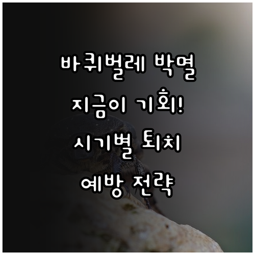 바퀴벌레 박멸, 지금이 최적기! 시기별 퇴치법 & 예방 전략