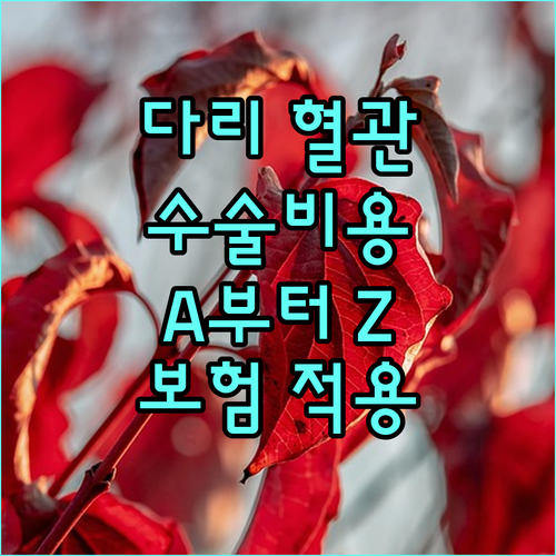 하지정맥류 수술 비용 A to Z: 요인, 방법, 보험 적용 가이드