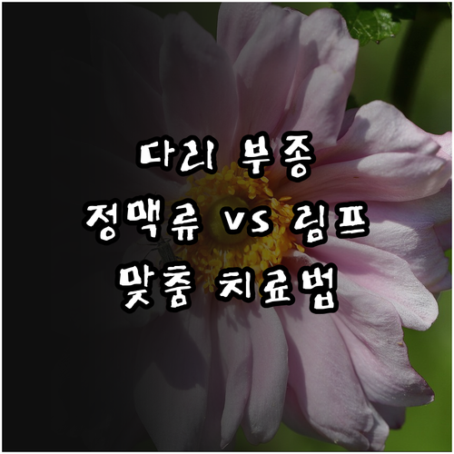 하지정맥류 vs 림프부종: 증상 비교 및 맞춤 치료법