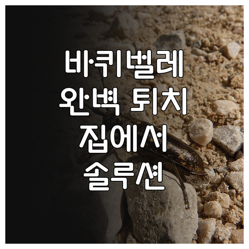집에서 바퀴벌레 완벽 퇴치하는 방법: 단계별 솔루션