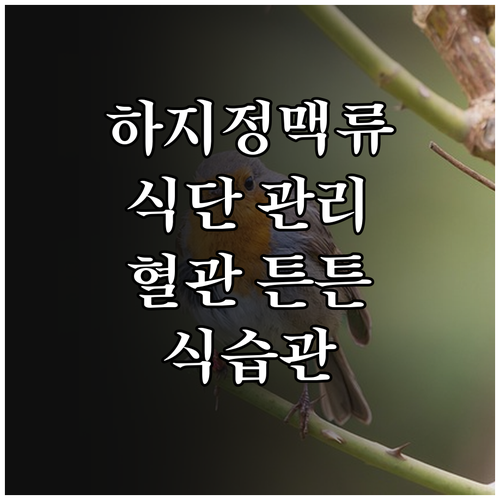 하지정맥류, 식단 관리가 답이다! 혈관 건강 지키는 식습관