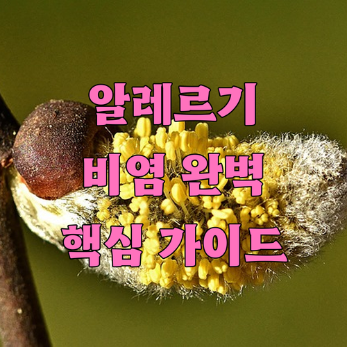 알레르기 비염 조절과 관해 핵심 전략 완벽 가이드