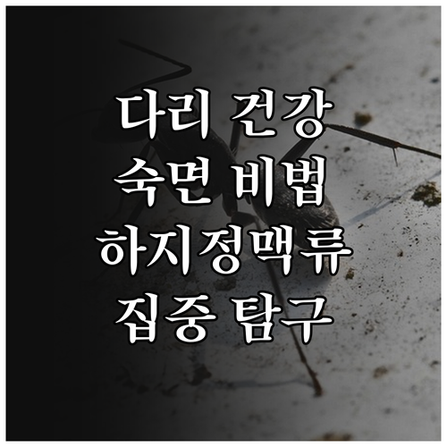 다리 건강과 숙면, 두 마리 토끼 잡는 법: 하지정맥류 집중 탐구