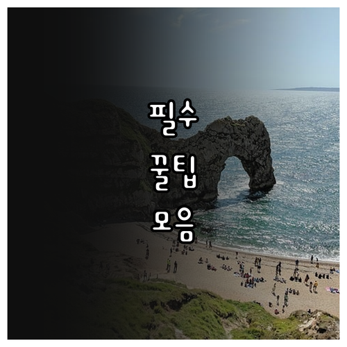 하지정맥류 치료 병원 선택: 후회 없는 선택을 위한 완벽 가이드