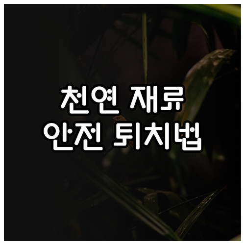 안전한 바퀴벌레 퇴치: 천연 재료 사용법 및 주의사항
