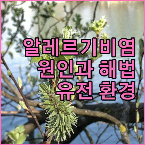알레르기비염 원인과 해법 환경 유전적 요인 집중분석