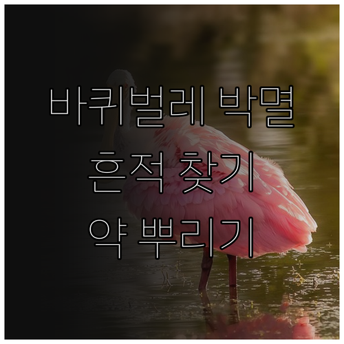 바퀴벌레 박멸, 활동 흔적 찾고 약 뿌리는 위치 선정하기