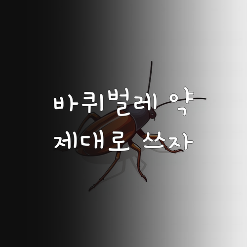 바퀴벌레 약, 제대로 알고 쓰자! 효과 극대화 사용법과 주기 완벽 분석