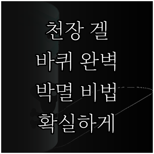 천장 겔 미끼로 바퀴벌레 완벽 박멸하는 방법