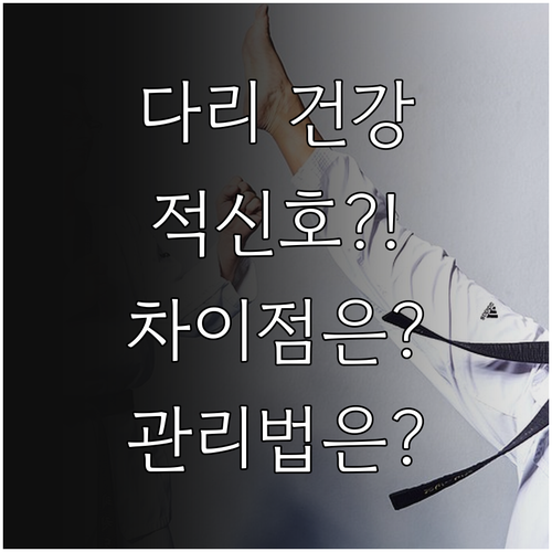 다리 건강 적신호? 하지정맥류와 발 저림, 차이점과 관리법