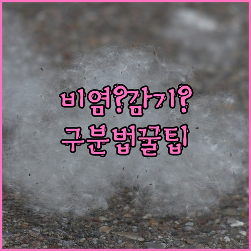 알레르기 비염 감기 구분법 증상 완화 및 예방 꿀팁