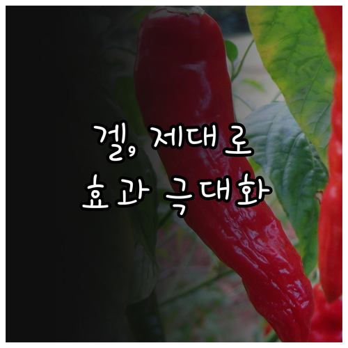 바퀴벌레 겔, 제대로 알고 쓰자! 효과 극대화 & 안전 사용법