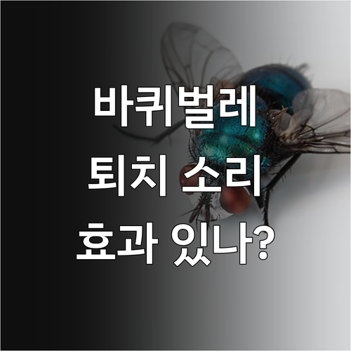 바퀴벌레 퇴치 소리 완벽 분석: 오해와 진실, 퇴치법 총정리
