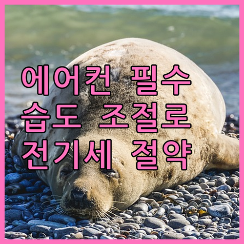 쾌적한 여름 필수템 에어컨 습도 조절 기능으로 전기세 절약