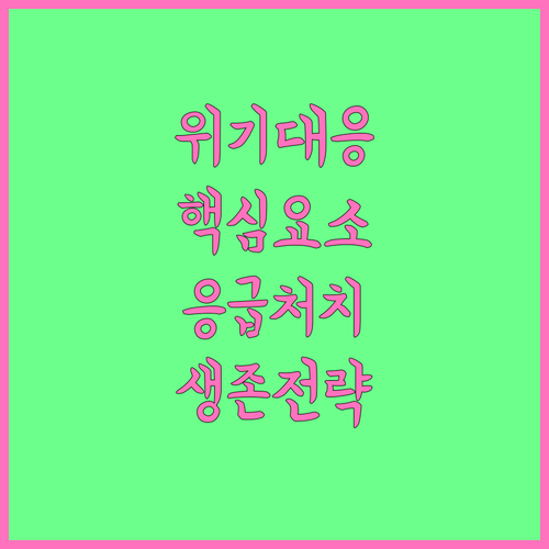 위기 상황에 효과적으로 대응하기 위한 응급대처체계 핵심 구성 요소