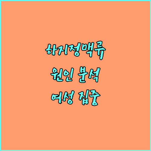 여성 하지정맥류 원인 심층 분석: 호르몬부터 생활 습관까지