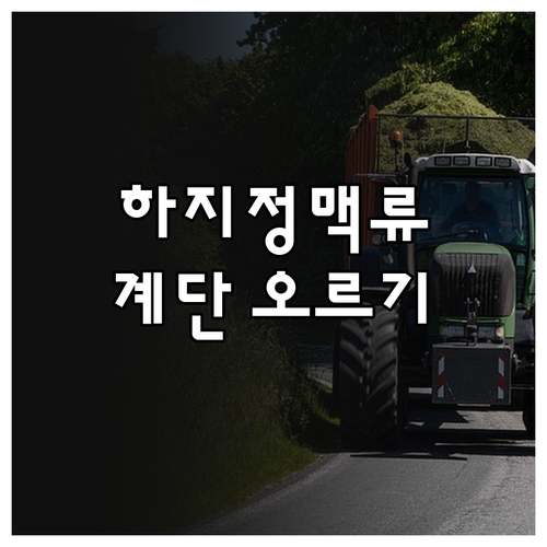 계단 오르기 지옥, 하지정맥류 증상 완화 및 관리 꿀팁