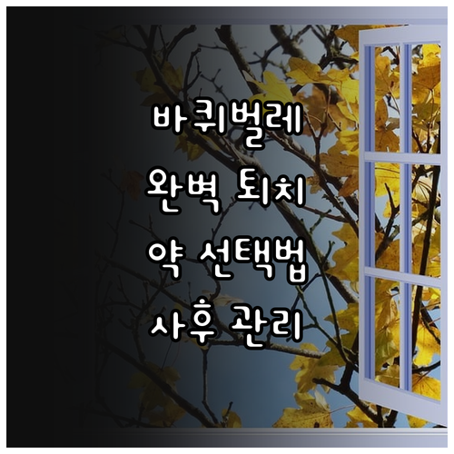 베란다 바퀴벌레 완벽 퇴치: 약 선택부터 사후 관리까지 핵심 정보