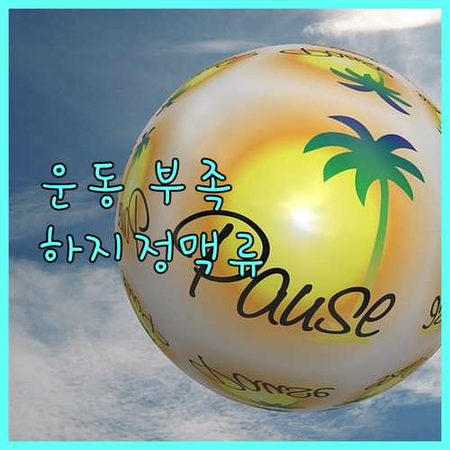 운동 부족과 하지정맥류의 깊은 관계