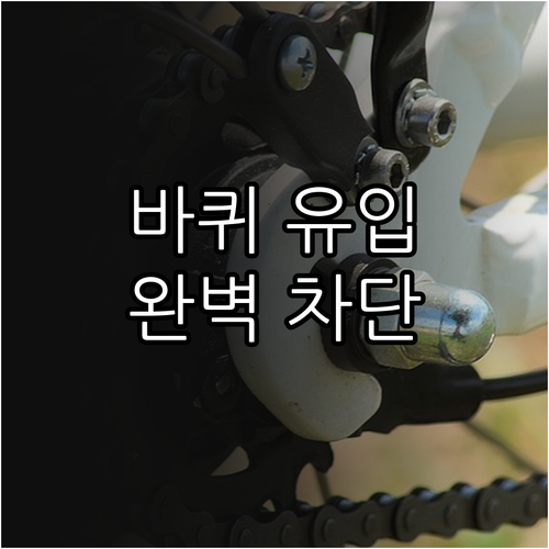 바퀴벌레 유입 경로 차단! 틈새 관리부터 습기 제거까지