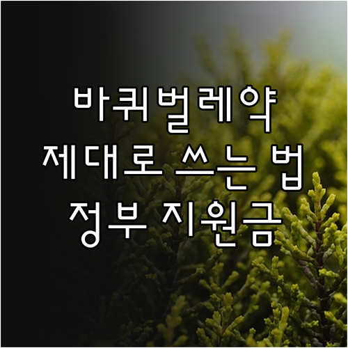 바퀴벌레약 사용법: 종류별 완벽 분석 및 정부 지원 활용법