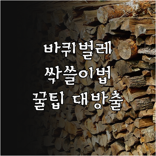 바퀴벌레 퇴치 핵심: 약 종류, 사용법, 꿀팁, FAQ 총정리