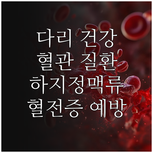 다리 건강 지키는 핵심 정보: 하지정맥류와 심부정맥 혈전증의 모든 것