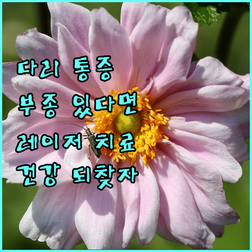 다리 통증, 부종? 하지정맥류 레이저 치료로 건강 되찾으세요