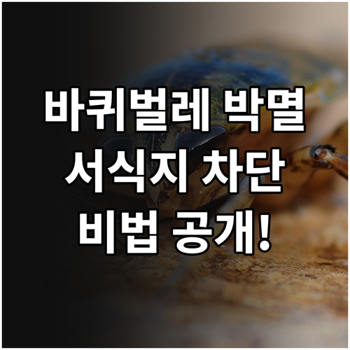 집안 바퀴벌레 박멸 프로젝트: 서식 환경 완벽 차단 비법 공개
