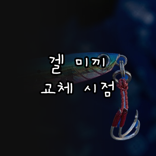 3개월? 6개월? 바퀴벌레 겔 미끼, 효과적인 사용법과 교체 시점 완벽 가이드