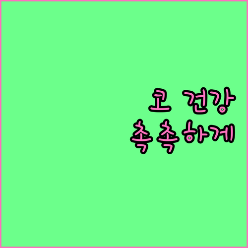 코 건강 지키는 법, 촉촉한 코 점막 유지하고 코피 예방하기