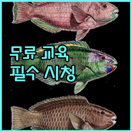 2025 전 국민 필수 금융교육 서민금융진흥원에서 무료로
