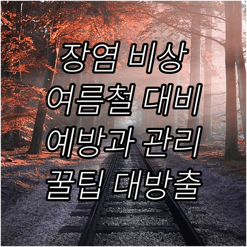 여름철 장염 완벽 예방 꿀팁 손씻기, 음식 관리, 대처법