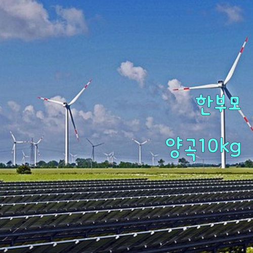2025 영덕군 한부모가족 명절 위문금 지원, 신청 없이 양곡 10kg