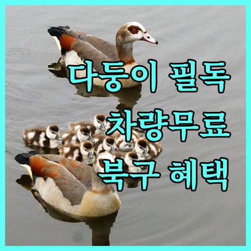 2025년 대구 북구 다둥이 가정 차량 무료 렌탈 기회