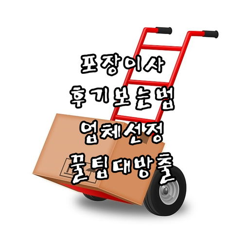 포장이사 후기 제대로 읽는 법: 업체 선정 꿀팁 대방출