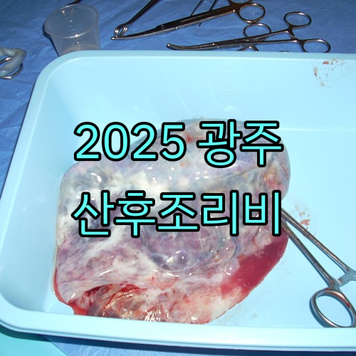 2025 광주 산후조리비 받는 법: 지원 대상, 신청 서류, 사용 범위 완벽 가이드