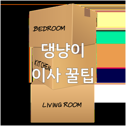 반려견, 반려묘 이사 A to Z: 건강, 안전, 적응 가이드