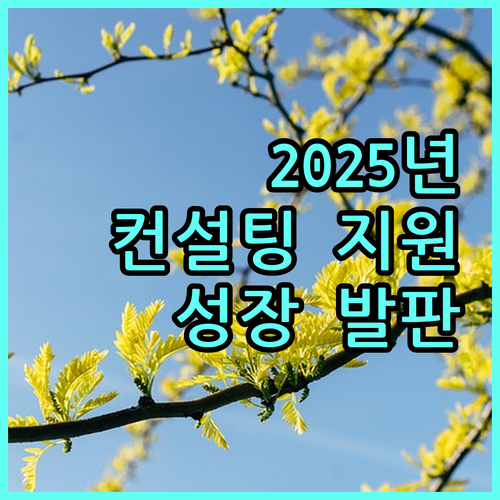 2025 기술·경영 컨설팅: 맞춤 지원으로 기업 성장 발판 마련