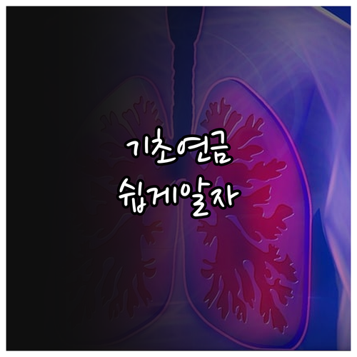 기초연금 파헤치기: 자격 조건부터 신청 방법까지 완벽 분석