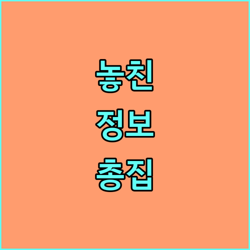 중구 어르신 영양더하기 카드 2025년 신청 안내 자격 조건 및 사용법