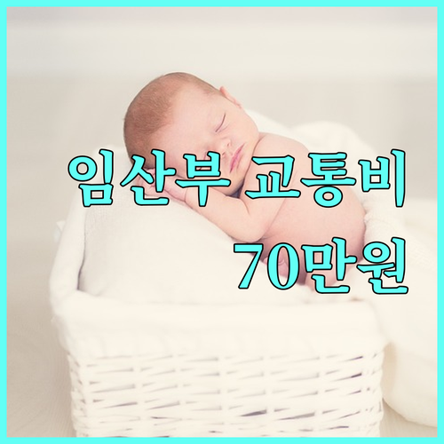 2025 서울시 임산부 교통비 70만원 지원: 신청 자격, 방법 완벽 가이드