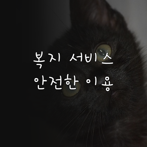 사회복지통합정보시스템: 복지 서비스 신청부터 안전한 이용까지